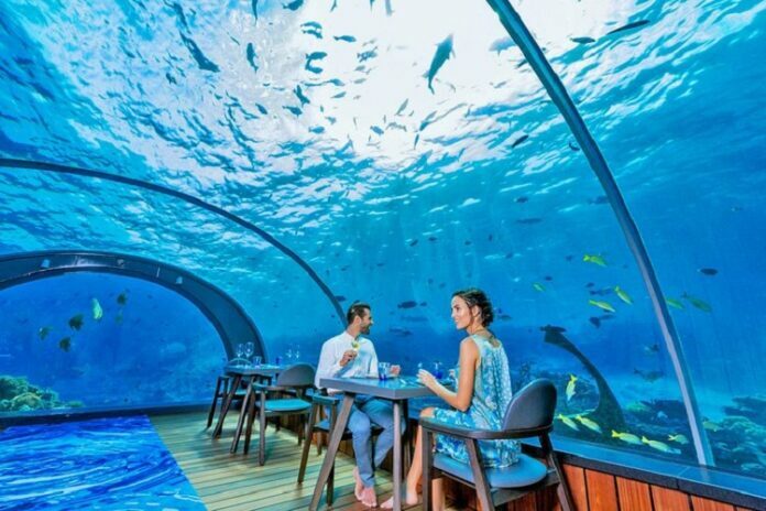 Maldives Honeymoon